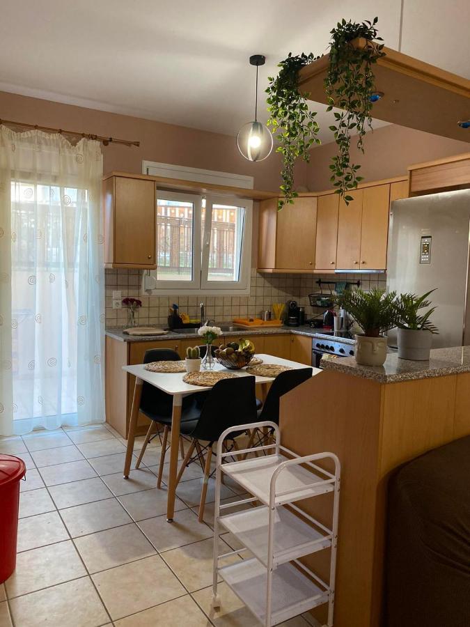 Antonis Apartment Nea Selefkia المظهر الخارجي الصورة